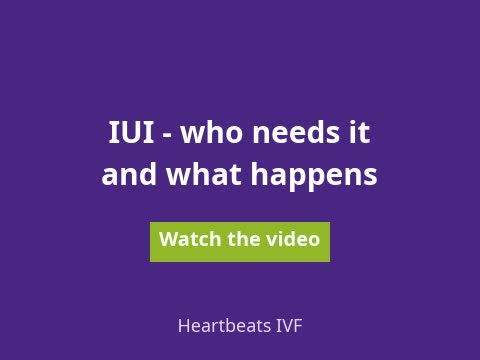 Watch the video: IUI, who needs it and what happens