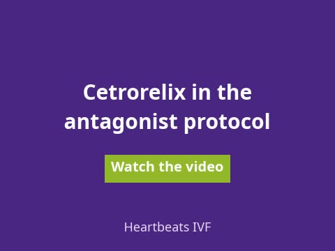 Watch the video: cetrorelix in the antagonist protocol