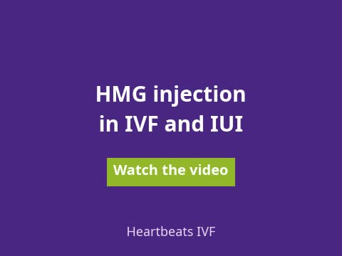 Watch the video: HMG injection in IVF and IUI