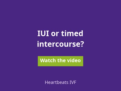 Watch the video: IUI or timed intercourse