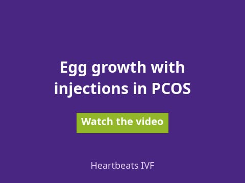 Watch the video: egg growth with injections in PCOS